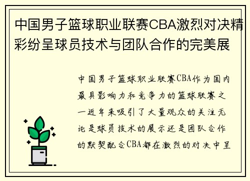 中国男子篮球职业联赛CBA激烈对决精彩纷呈球员技术与团队合作的完美展现
